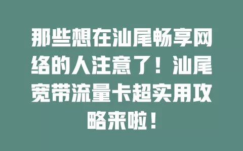 那些想在汕尾畅享网络的人注意了！汕尾宽带流量卡超实用攻略来啦！