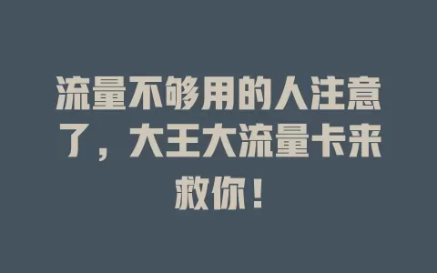 流量不够用的人注意了，大王大流量卡来救你！