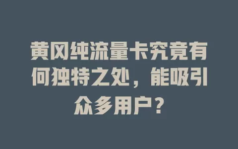 黄冈纯流量卡究竟有何独特之处，能吸引众多用户？