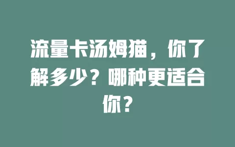 流量卡汤姆猫，你了解多少？哪种更适合你？