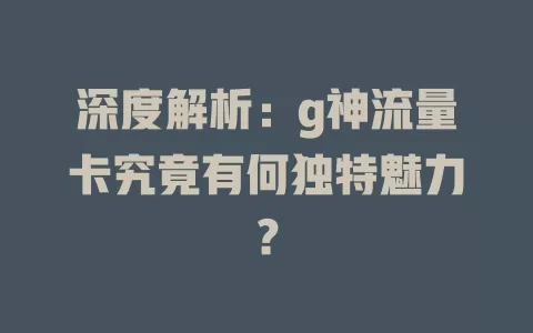深度解析：g神流量卡究竟有何独特魅力？