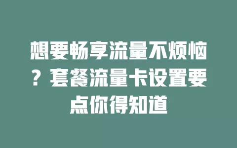 想要畅享流量不烦恼？套餐流量卡设置要点你得知道