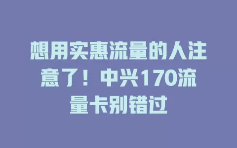 想用实惠流量的人注意了！中兴170流量卡别错过