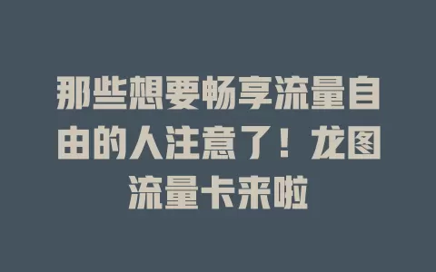 那些想要畅享流量自由的人注意了！龙图流量卡来啦