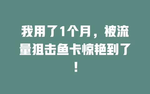 我用了1个月，被流量狙击鱼卡惊艳到了！