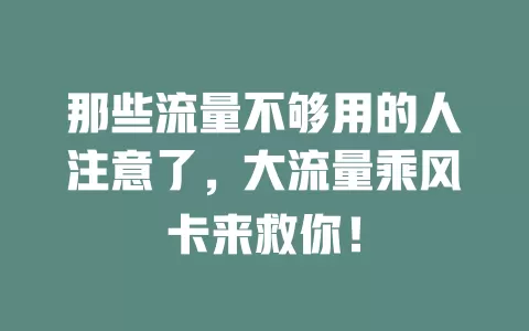 那些流量不够用的人注意了，大流量乘风卡来救你！