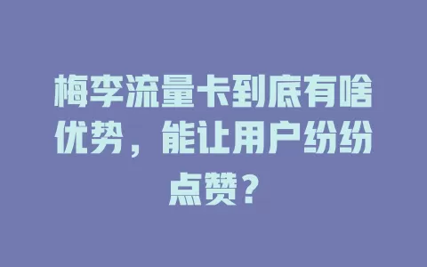 梅李流量卡到底有啥优势，能让用户纷纷点赞？