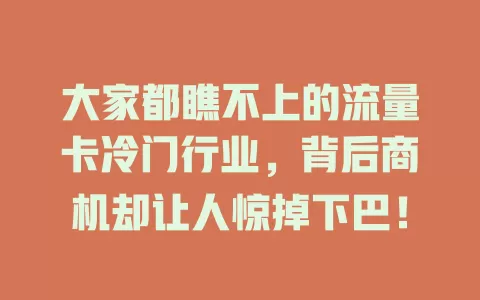 大家都瞧不上的流量卡冷门行业，背后商机却让人惊掉下巴！