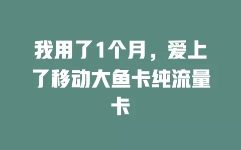 我用了1个月，爱上了移动大鱼卡纯流量卡
