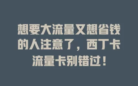 想要大流量又想省钱的人注意了，西丁卡流量卡别错过！
