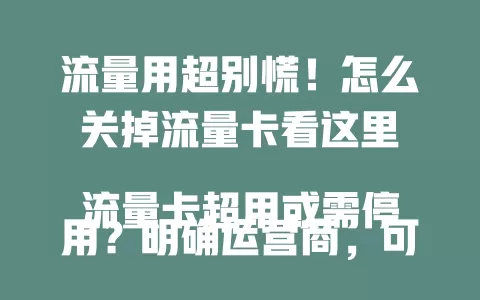 流量用超别慌！怎么关掉流量卡看这里

流量卡超用或需停用？明确运营商，可通过客服、APP 或营业厅关卡。关前留意流量与费用，掌握方法防困扰，助你顺利关闭流量卡