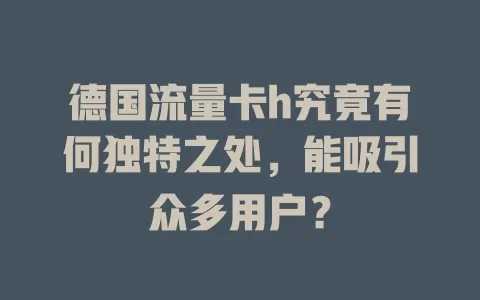 德国流量卡h究竟有何独特之处，能吸引众多用户？