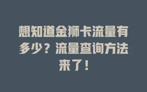 想知道金狮卡流量有多少？流量查询方法来了！