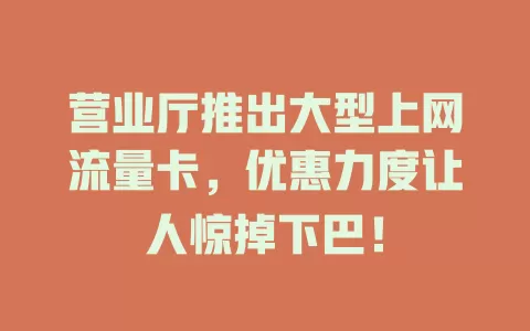 营业厅推出大型上网流量卡，优惠力度让人惊掉下巴！
