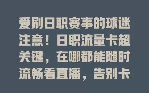 爱刷日职赛事的球迷注意！日职流量卡超关键，在哪都能随时流畅看直播，告别卡顿，畅享热血赛事，让观赛体验更完美