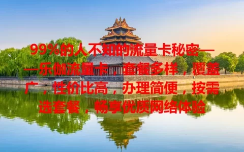 99%的人不知的流量卡秘密——乐伽流量卡，套餐多样，覆盖广，性价比高，办理简便，按需选套餐，畅享优质网络体验