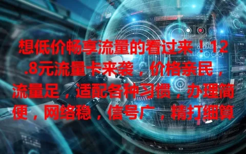 想低价畅享流量的看过来！12.8元流量卡来袭，价格亲民，流量足，适配各种习惯，办理简便，网络稳，信号广，精打细算的选它超合适，能省不少流量费！