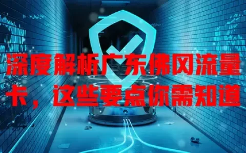 深度解析广东佛冈流量卡，这些要点你需知道