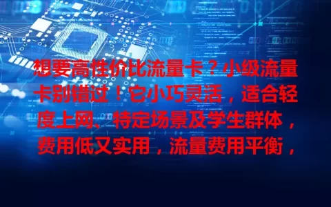 想要高性价比流量卡？小级流量卡别错过！它小巧灵活，适合轻度上网、特定场景及学生群体，费用低又实用，流量费用平衡，助你物尽其用不花冤枉钱