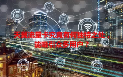 天冀流量卡究竟有何独特之处，能吸引众多用户？