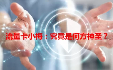 流量卡小梅：究竟是何方神圣？