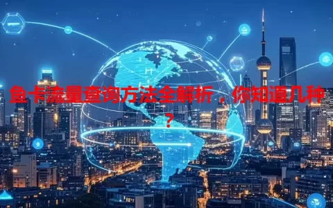 鱼卡流量查询方法全解析，你知道几种？