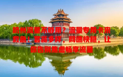 杭州流量不够用？流量专用卡来救急！套餐多样，网速快稳，让你告别焦虑畅享流量