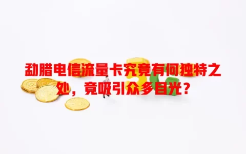 勐腊电信流量卡究竟有何独特之处，竟吸引众多目光？