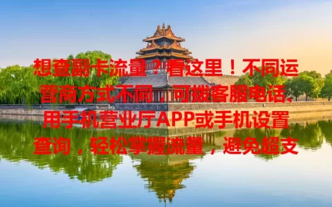 想查副卡流量？看这里！不同运营商方式不同，可拨客服电话、用手机营业厅APP或手机设置查询，轻松掌握流量，避免超支，快来选适合自己的方式！