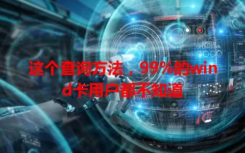 这个查询方法，99%的wind卡用户都不知道