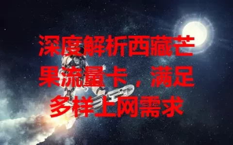 深度解析西藏芒果流量卡，满足多样上网需求