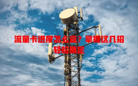 流量卡进度怎么查？掌握这几招轻松搞定