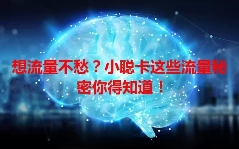 想流量不愁？小聪卡这些流量秘密你得知道！