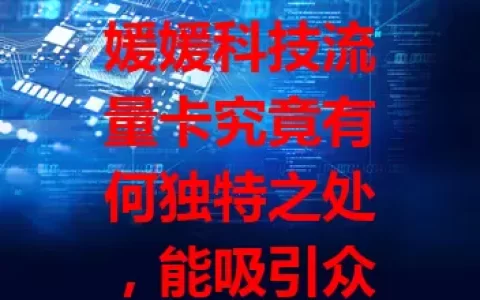 媛媛科技流量卡究竟有何独特之处，能吸引众多用户？