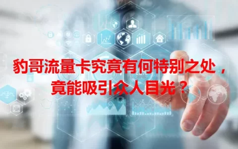 豹哥流量卡究竟有何特别之处，竟能吸引众人目光？