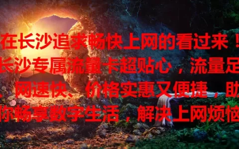 在长沙追求畅快上网的看过来！长沙专属流量卡超贴心，流量足、网速快、价格实惠又便捷，助你畅享数字生活，解决上网烦恼，快来体验！
