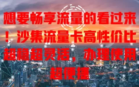 想要畅享流量的看过来！沙集流量卡高性价比超稳超灵活，办理使用超便捷