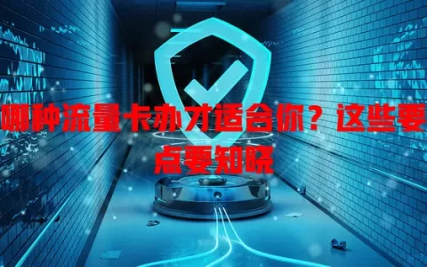 哪种流量卡办才适合你？这些要点要知晓