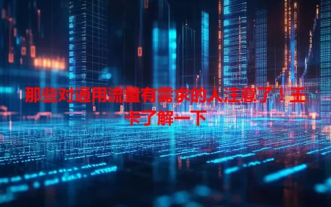 那些对通用流量有需求的人注意了！王卡了解一下