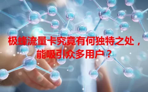 极蜂流量卡究竟有何独特之处，能吸引众多用户？