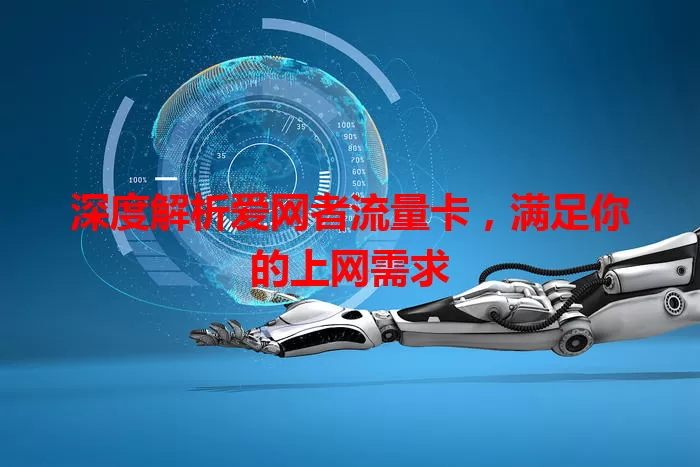 深度解析爱网者流量卡，满足你的上网需求