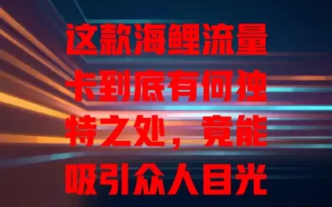 这款海鲤流量卡到底有何独特之处，竟能吸引众人目光？