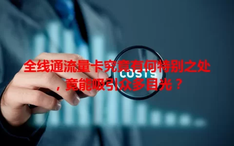 全线通流量卡究竟有何特别之处，竟能吸引众多目光？