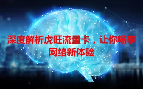 深度解析虎旺流量卡，让你畅享网络新体验