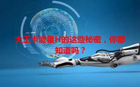 大王卡流量H的这些秘密，你都知道吗？