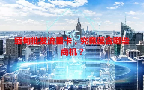 缅甸批发流量卡，究竟蕴含哪些商机？