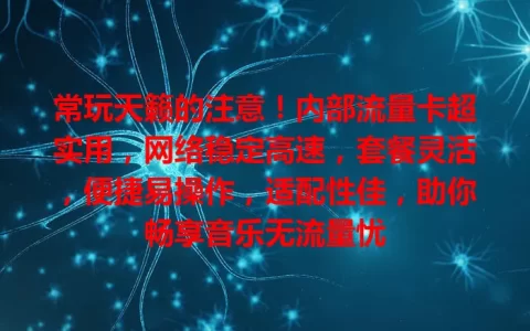 常玩天籁的注意！内部流量卡超实用，网络稳定高速，套餐灵活，便捷易操作，适配性佳，助你畅享音乐无流量忧