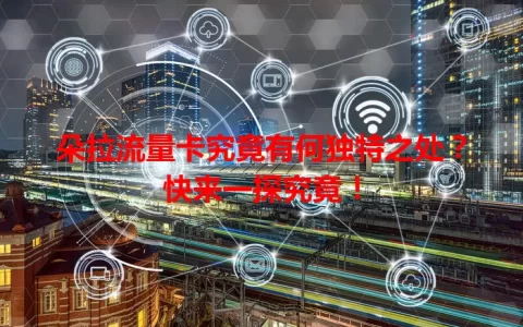 朵拉流量卡究竟有何独特之处？快来一探究竟！
