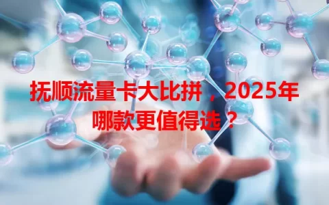 抚顺流量卡大比拼，2025年哪款更值得选？