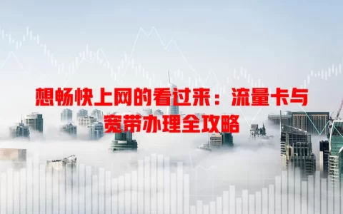想畅快上网的看过来：流量卡与宽带办理全攻略